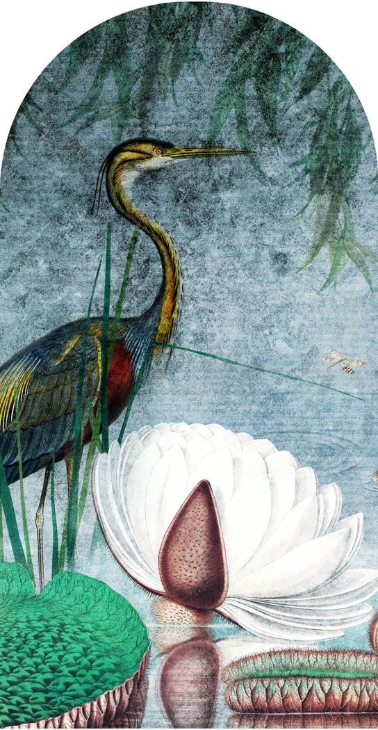 Fototapeta w kształcie łuku - Water Lily TapetaLukWaterLily
