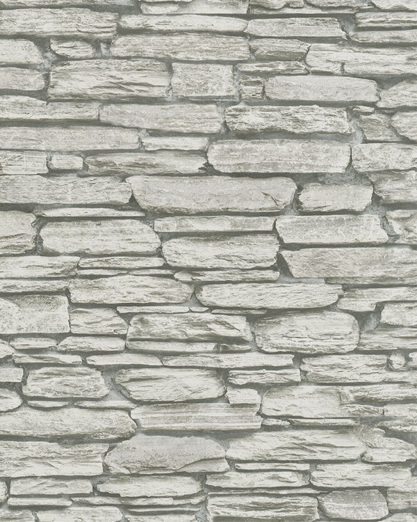 Szare podłużne nieregularne kamienie w rysunku Trendy 81901