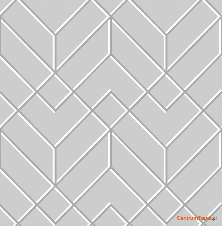Jasne linie geometrycznej sieci na szarości KABUKI 106155