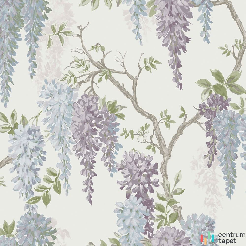 Laura Ashley 113356 – zwisające fioletowoniebieskie grona kwiatów i zielone listki
