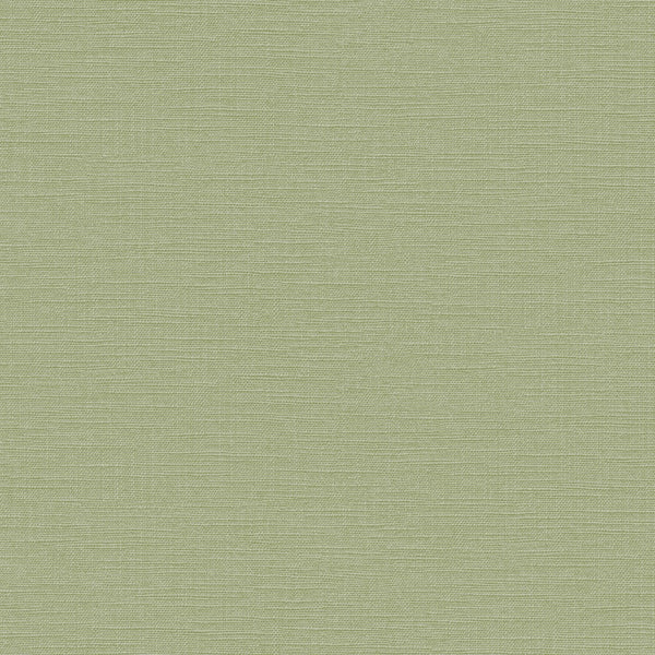 Jasnozielony liniowy rysunek tapety Fab 127640
