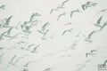 Fototapeta Flock V101-2