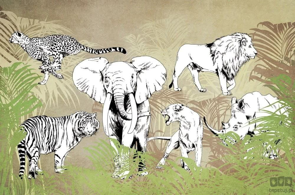 Fototapeta Wildlife V102-1