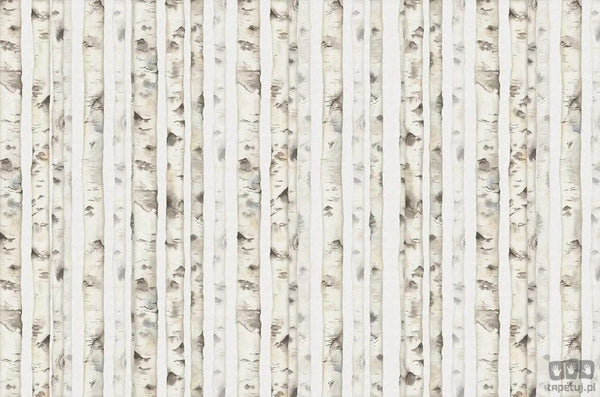 Fototapeta White forest V107-1