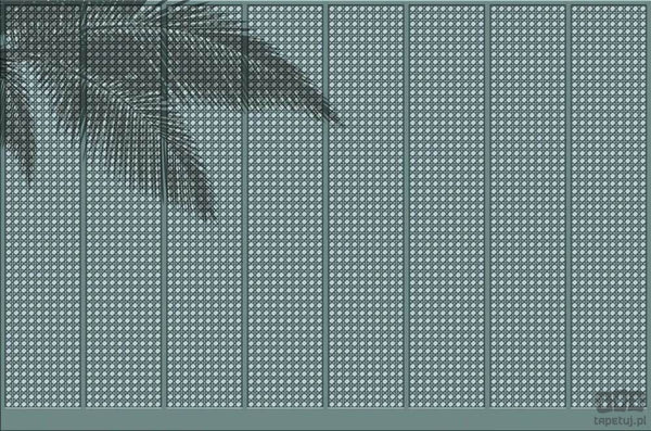 Fototapeta Summer Shadow V124-2