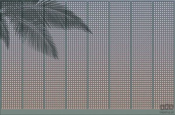 Fototapeta Summer Shadow V124-3