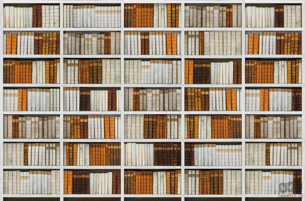 Fototapeta Library V135-1