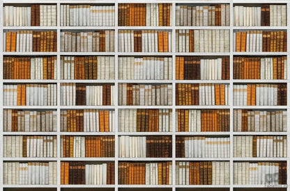Fototapeta Library V135-1
