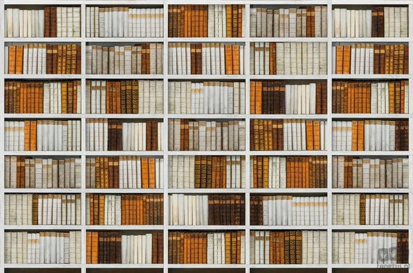 Fototapeta Library V135-1