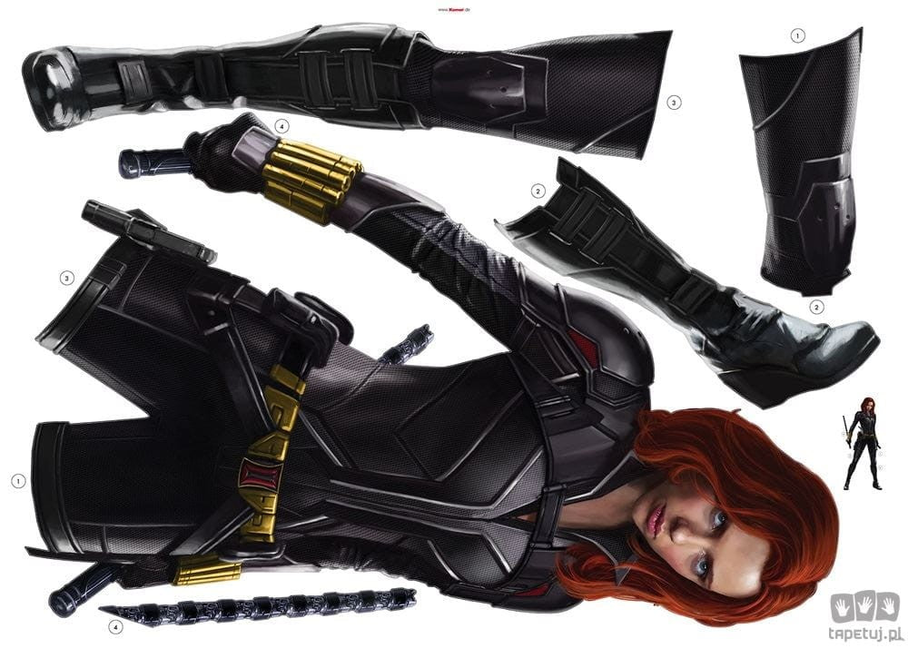 Naklejki ścienne Black Widow Stand 14748h 14748h