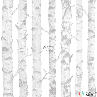 Tapeta 138944 Little Bandits Esta Home