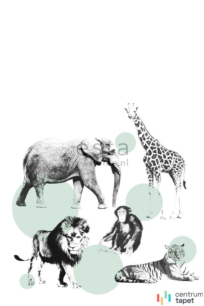 Fototapeta 158704 XL² photowalls for kids Esta Home