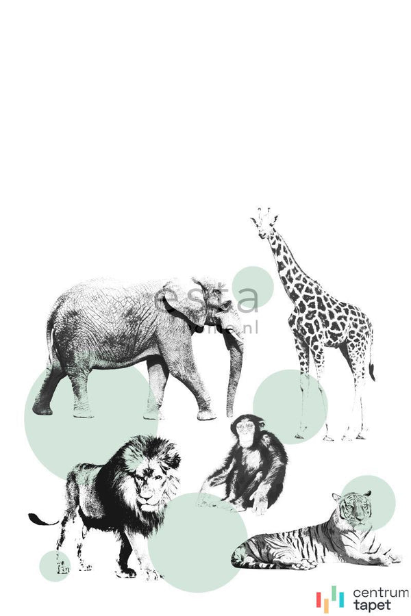 Fototapeta 158704 XL² photowalls for kids Esta Home