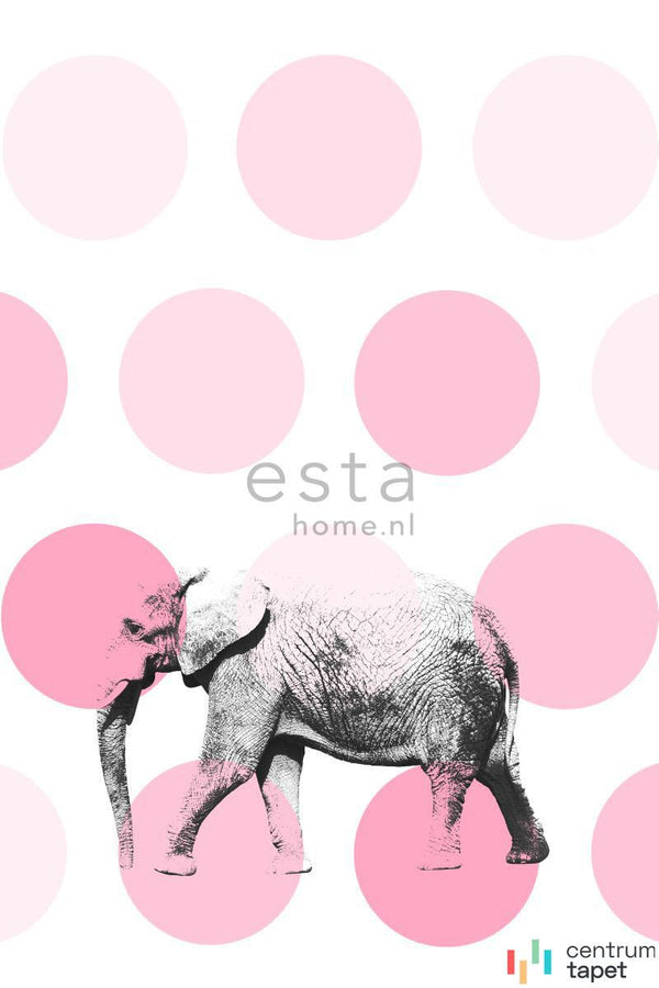 Fototapeta 158708 XL² photowalls for kids Esta Home