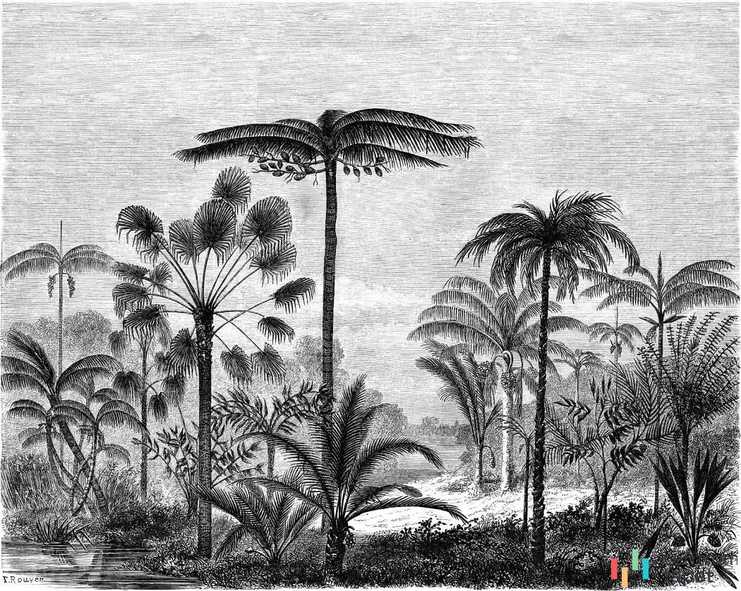 Fototapeta 158952 PARADISE Esta Home