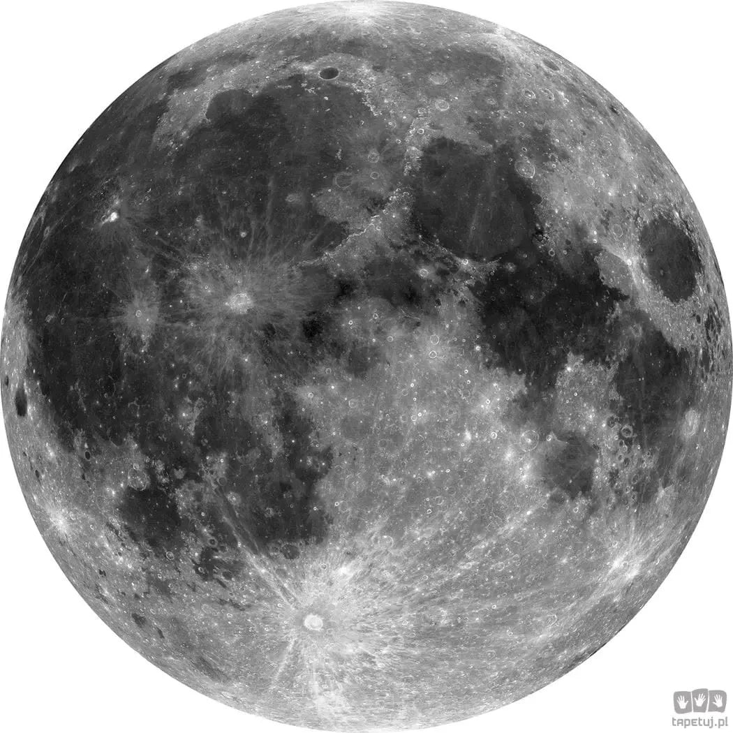Fototapeta Moon D1-019 D1-019