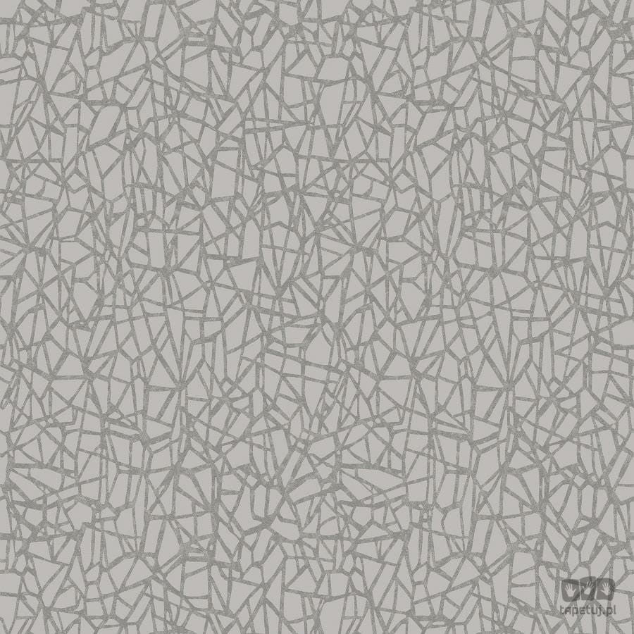 Szaro-srebrna tapeta z efektem pęknięć 65581