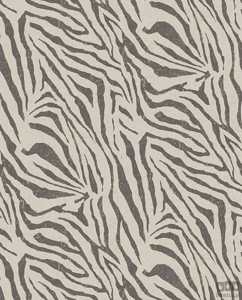 Fototapeta Zebra 309060 Eijffinger 309060