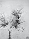 Fototapeta Palm 309095 Eijffinger 309095