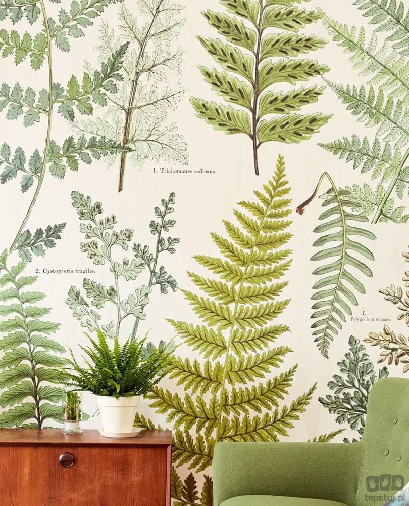 Fototapeta Herbarium 309017 Eijffinger 309017