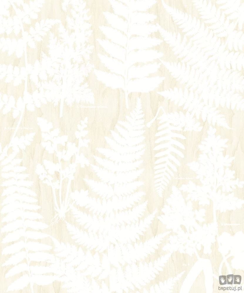 Fototapeta Herbarium 309019 Eijffinger 309019