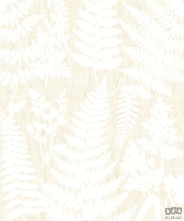 Fototapeta Herbarium 309019 Eijffinger 309019