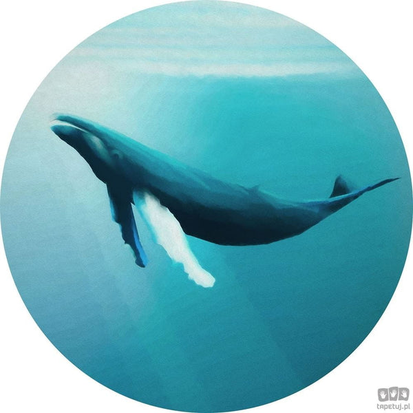 Fototapeta Whale Watching D1-081 D1-081