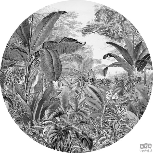 Fototapeta Wild Woods D1-087 D1-087