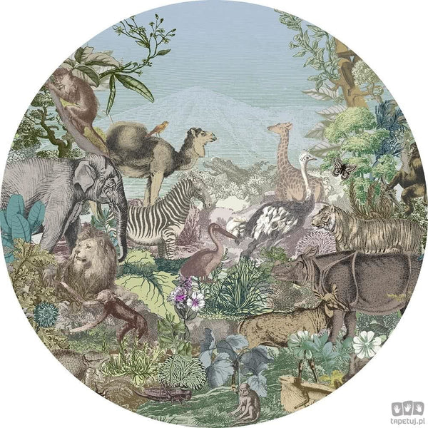 Fototapeta Animal Kingdom D1-089 D1-089