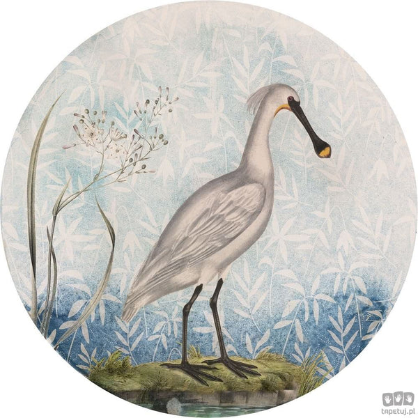 Fototapeta Spoonbill D1-097 D1-097