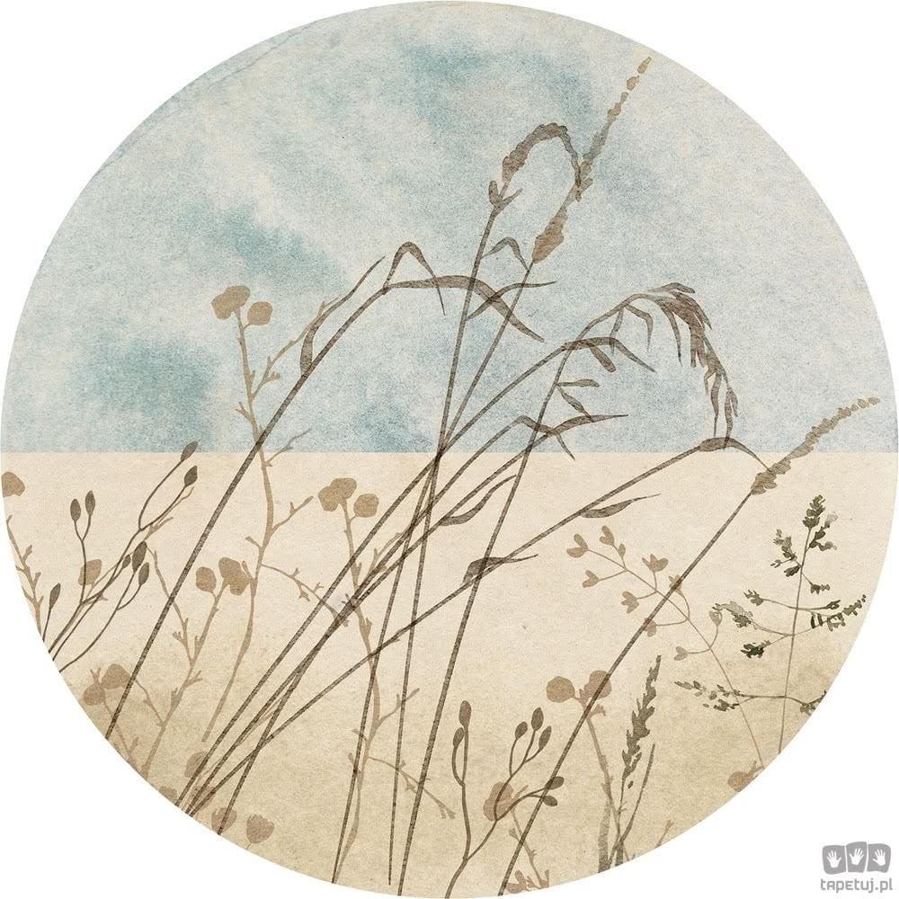 Fototapeta Gazon D1-098 D1-098