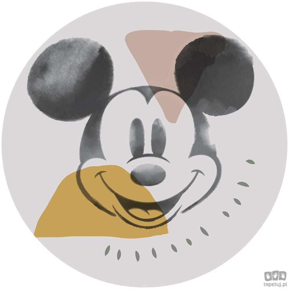 Fototapeta Mickey Abstract DD1-039 DD1-039