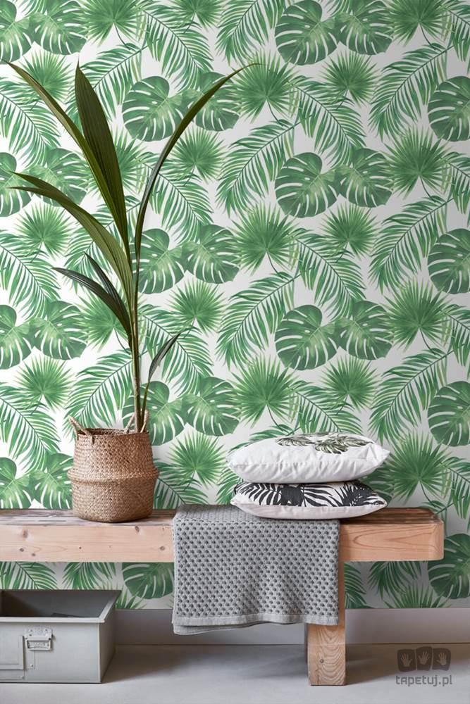 Biało-zielona tapeta na flizelinie w tropikalne liście monstera palmy 139013_outlet