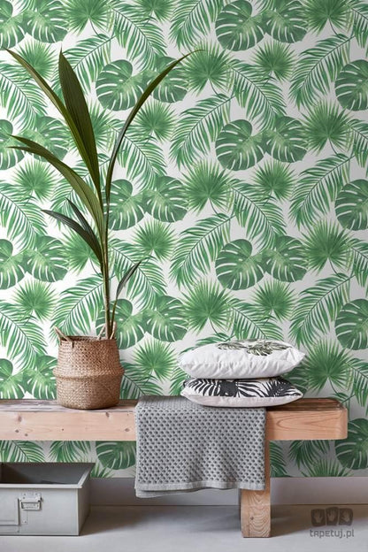 Biało-zielona tapeta na flizelinie w tropikalne liście monstera palmy 139013_outlet