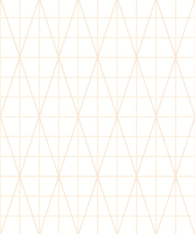 Tapeta winylowa na flizelinie wzór geometryczny 59758