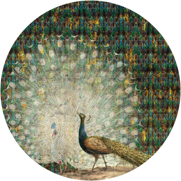 Fototapeta w kształcie koła - Kolorowe Pawie TapetaKoloPeacock