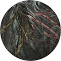 Fototapeta w kształcie koła - Trawa ozdobna TapetaKoloGrassDarkWMF006D