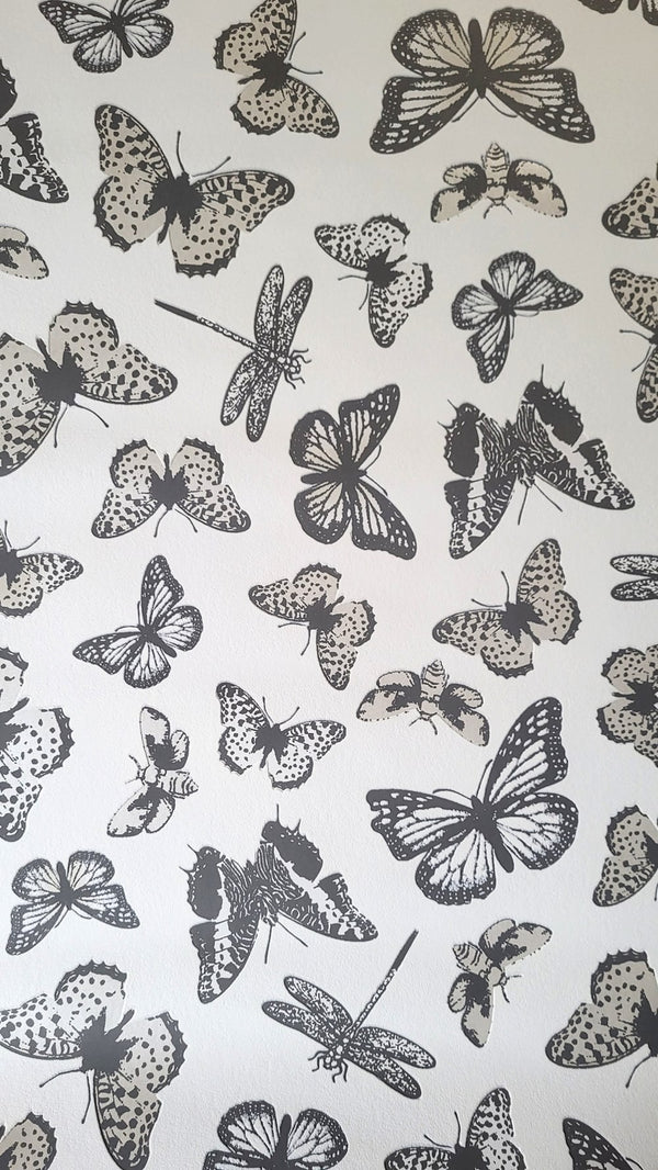 Tapeta na flizelinie w szaro-srebrne motyle 31714_outlet