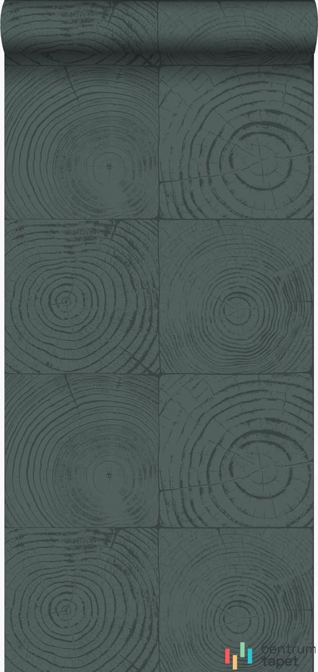 Tapeta 347549 Matières - Wood Origin