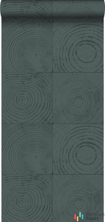 Tapeta 347549 Matières - Wood Origin