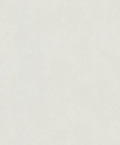 Jasne pole ecru Whisper 36419