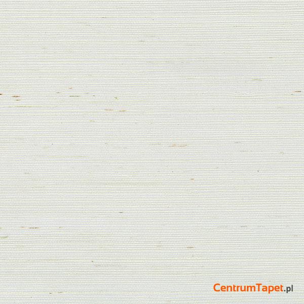 Tapeta 488-411 Grasscloth 2 Galerie