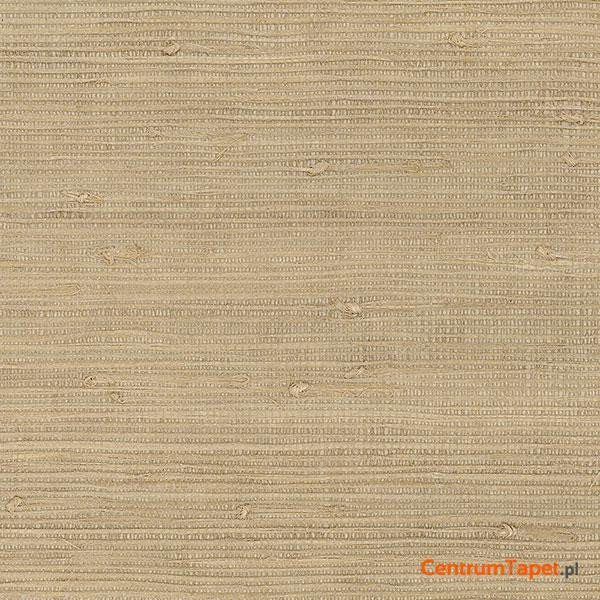 Tapeta 488-418 Grasscloth 2 Galerie