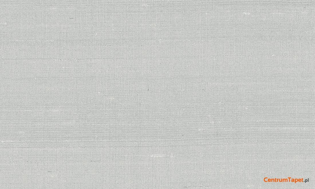 Bardzo jasnoszara tapeta z niewielkim delikatnym rysunkiem przeplotów Arte Paleo 50505