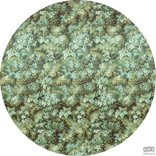 Fototapeta Greenery D1-024 D1-024