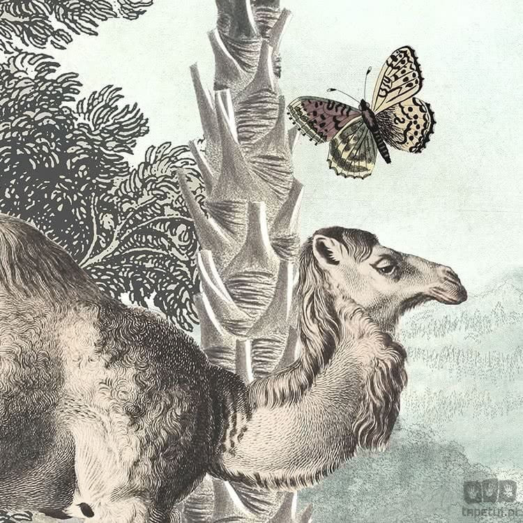 Fototapeta Utopia D1-028 D1-028