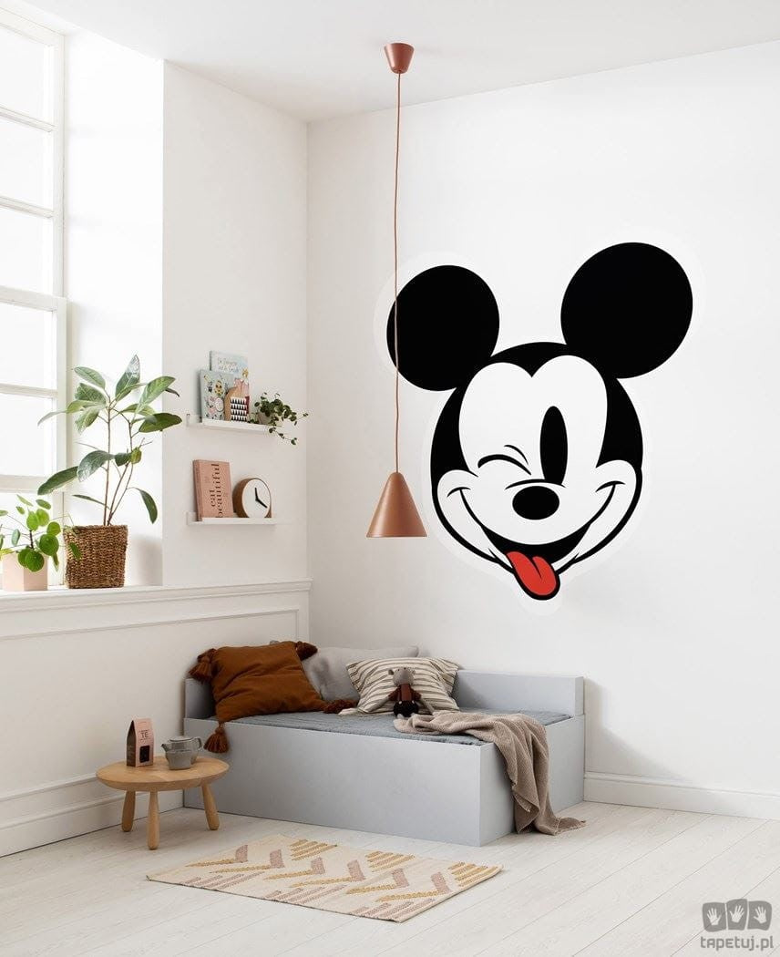 Fototapeta Mickey Head Optimism DD1-057 DD1-057