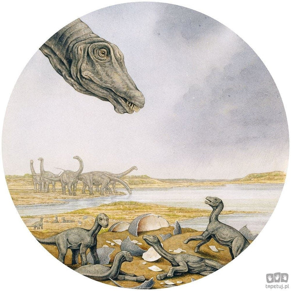 Fototapeta Young Titanosaurs DNG1-001 DNG1-001