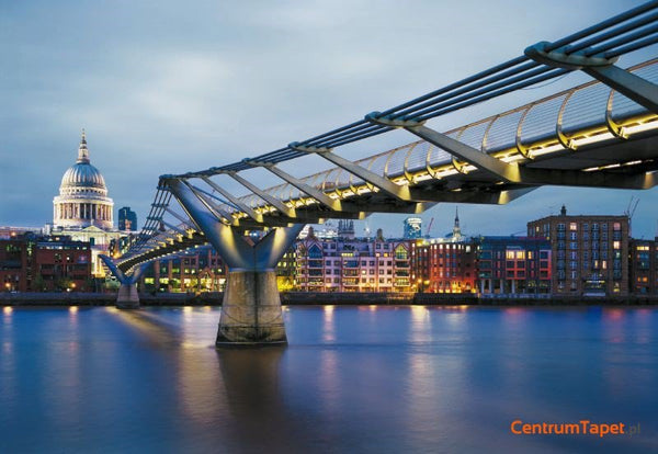 Fototapeta Millennium Bridge 8-924