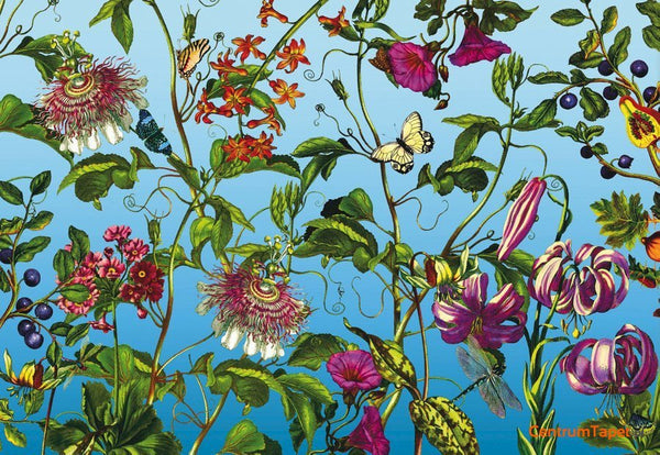 Fototapeta Jardin XXL4-029